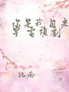 你是我目光里的星 电视剧