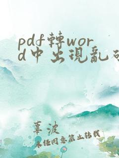 pdf转word中出现乱码