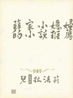 薛家小媳妇类似的小说推荐