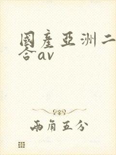 国产亚洲二区综合av