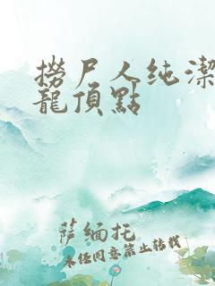 捞尸人纯洁滴小龙顶点