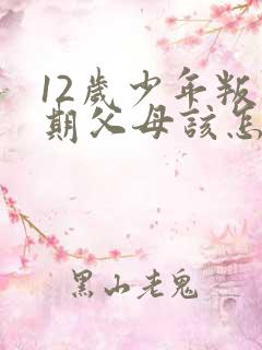 12岁少年叛逆期父母该怎么办
