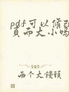 pdf可以修改页面大小吗