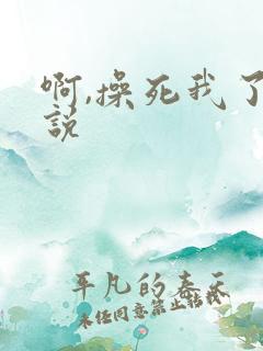 啊,操死我了小说