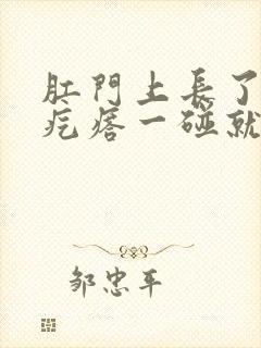 肛门上长了个硬疙瘩一碰就疼