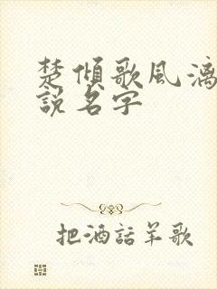楚倾歌风漓夜小说名字