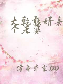 大乾憨婿秦墨几个老婆