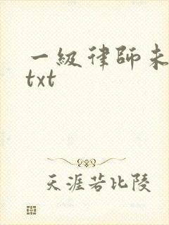 一级律师未删减txt