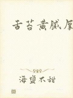 舌苔黄腻厚是