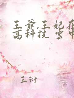 王爷,王妃在玩高科技 云中月