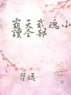 霸天武魂小说阅读全部