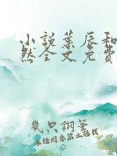 小说叶辰和萧初然全文免费阅读