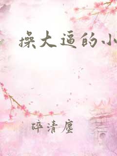 操大逼的小说