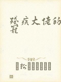 残疾大佬的心尖宠