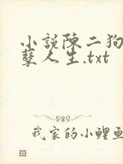 小说陈二狗的妖孽人生.txt