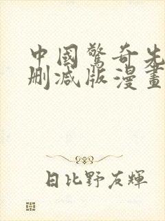 中国惊奇先生无删减版漫画