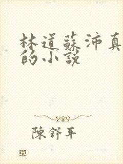 林道苏沛真李晴的小说