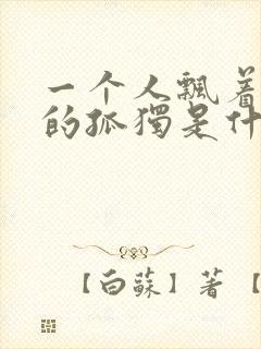 一个人飘着孤单的孤独是什么歌