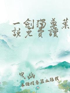 一剑独尊叶玄小说免费读