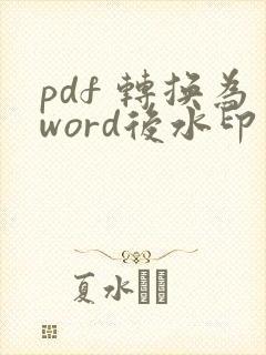 pdf 转换为word后水印怎么去掉