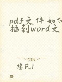 pdf文件如何插到word文档里