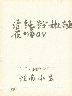 清纯粉嫩极品夜夜嗨av