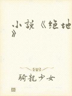 小说《绝地战龙》