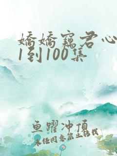娇娇窃君心短剧1到100集