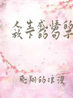 人生感悟的句子放下的句子