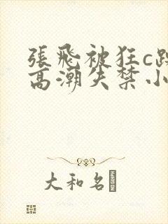 张飞被狂c躁到高潮失禁小说