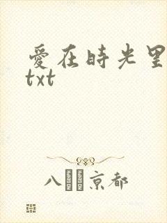 爱在时光里流转txt