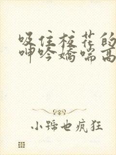 吸住校花的奶头呻吟娇喘高潮小说