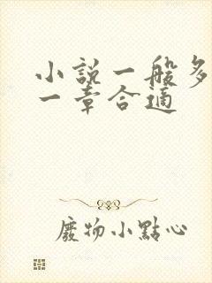小说一般多少字一章合适