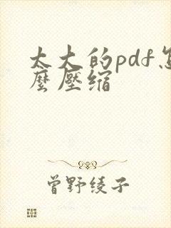太大的pdf怎么压缩
