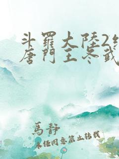 斗罗大陆2绝世唐门王冬武魂