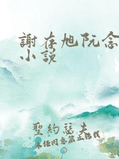 谢存旭阮念清的小说
