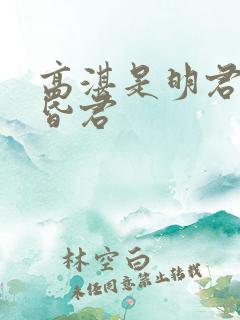高湛是明君还是昏君