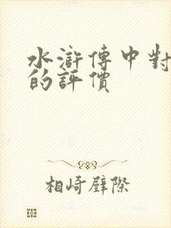 水浒传中对林冲的评价