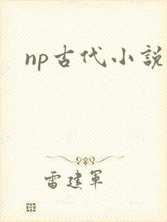 np古代小说h
