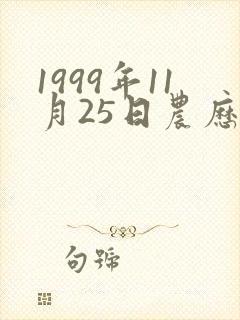 1999年11月25日农历的生辰八字