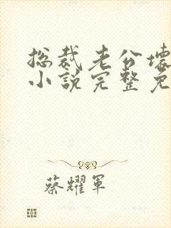 总裁老公坏又甜小说完整免费