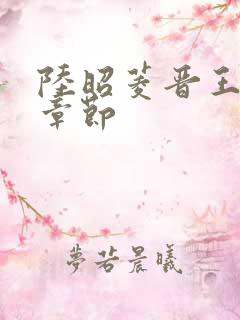 陆昭菱晋王最新章节