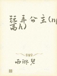 玩弄公主(np高h)