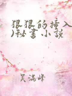 狠狠的撞入(h)秘书小说