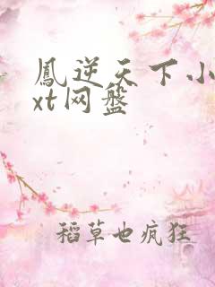 凤逆天下小说txt网盘