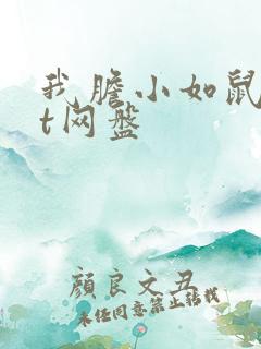 我胆小如鼠txt网盘