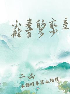 小麦的亩产量一般有多少