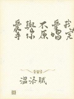 爱与不爱我都在等你原唱完整版
