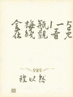 金梅瓶1一5集在线观看免费