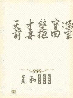 天才双宝:傲娇前妻抱回家